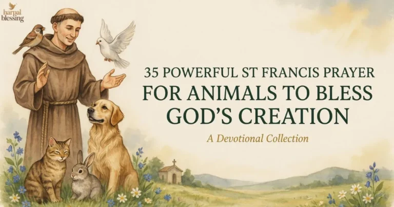 St Francis Prayer For Animals with pets, wildlife, and God's creation in peaceful prayer