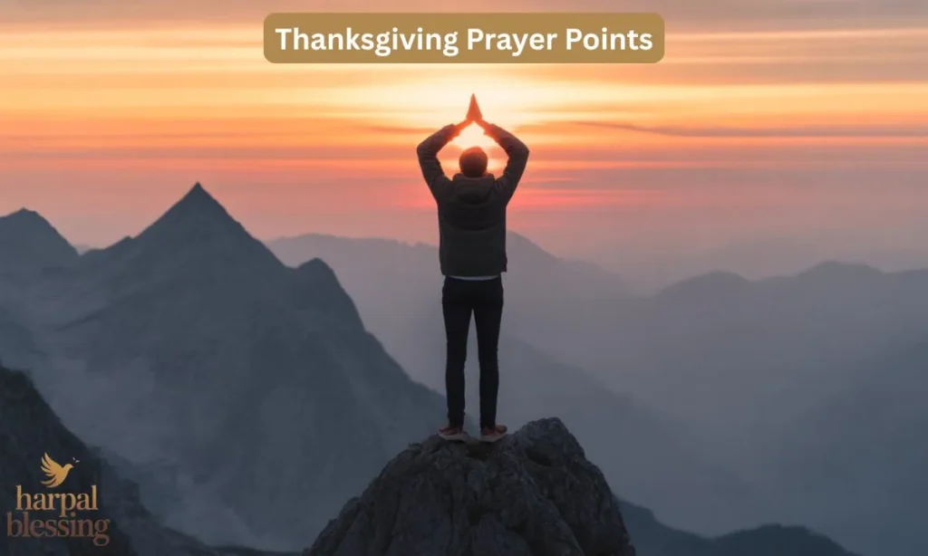 Individual praying outdoors with sunlight filtering, illustrating why Thanksgiving Prayer Points matter in spiritual life.