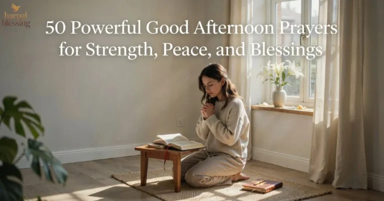Good Afternoon Prayers for strength peace and blessings with Bible and peaceful sunlight prayer moment