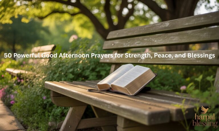 Open Bible on a park bench in warm afternoon sunlight, representing 50 powerful good afternoon prayers for strength, peace, and blessings.