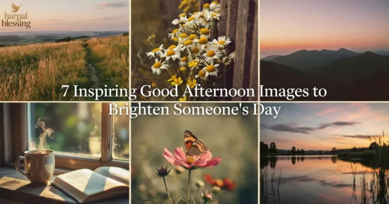 Good Afternoon Images with inspiring quotes, nature scenes, positivity, peace, and daily encouragement