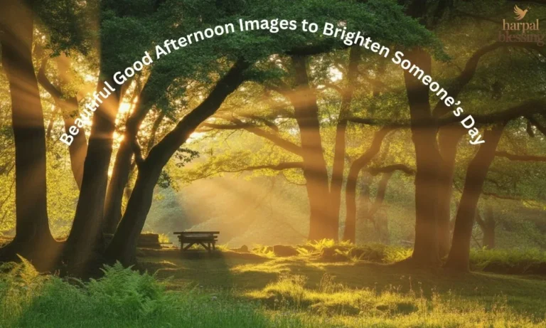 Beautiful good afternoon image with soft sunlight, peaceful scenery, and warm tones to brighten someone’s day.