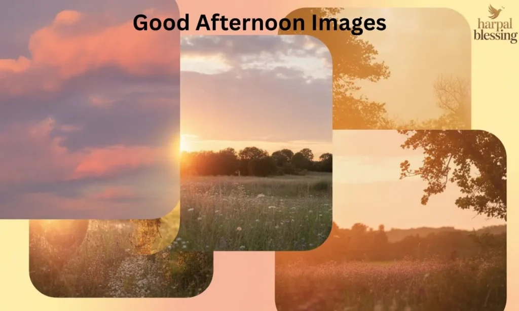 Good afternoon images collage with golden skies, pastel gradients, and soft sunlight to brighten the day and create a calm, cheerful atmosphere.