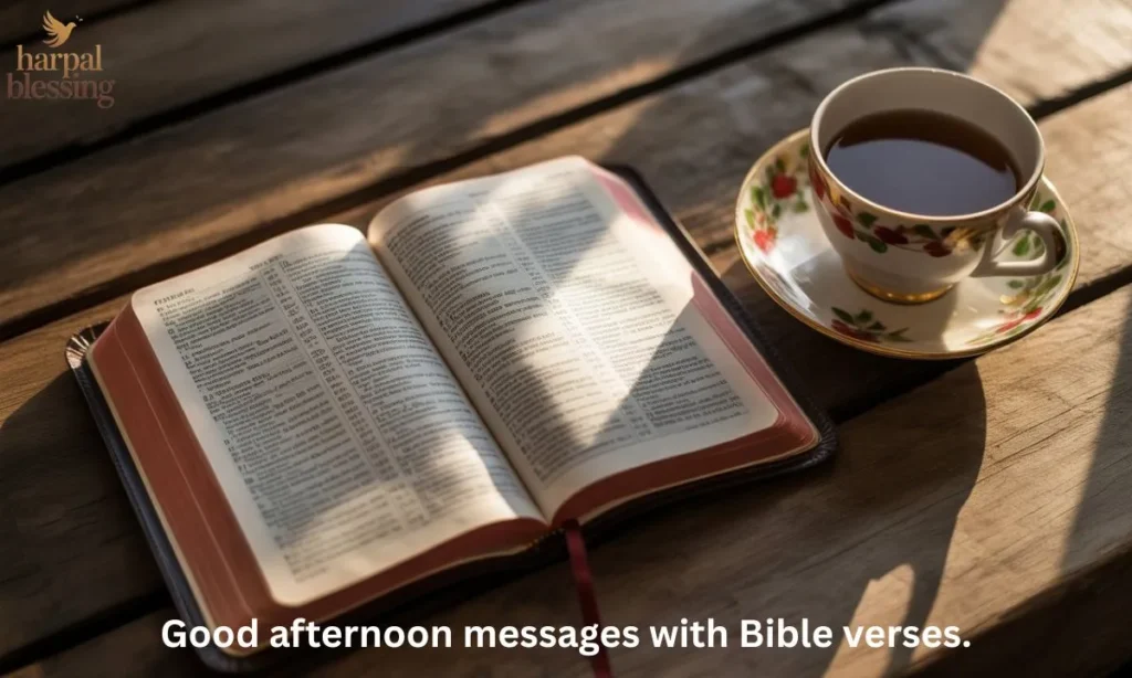 Open Bible with gentle afternoon sunlight, symbolizing inspirational good afternoon messages with Bible verses.