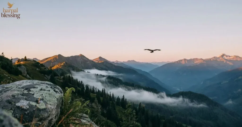 Wednesday Blessings Images featuring refreshed spirit, calm mind, faith, and peaceful nature sunrise